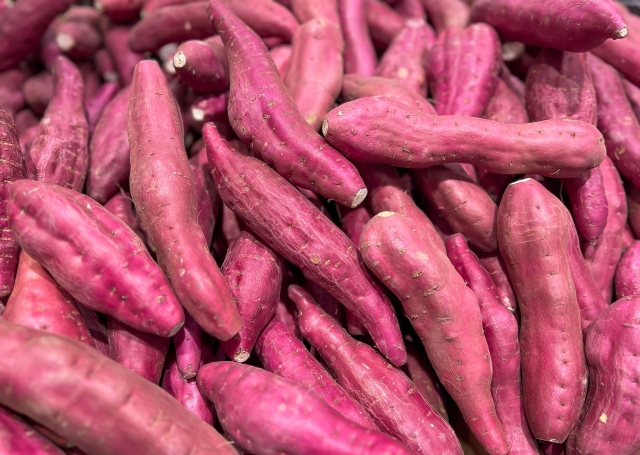 imo 植物の専門家が目利きした焼き芋専門店