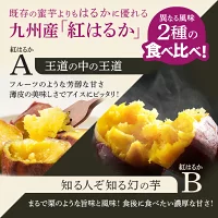 y-17740_02 植物の専門家が目利きした焼き芋専門店